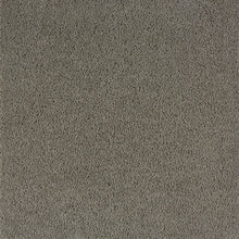 Load image into Gallery viewer, dusted