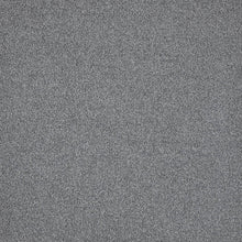 Load image into Gallery viewer, tingle
