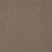 Load image into Gallery viewer, guard