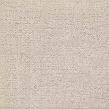 Load image into Gallery viewer, dove