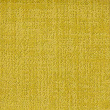 Load image into Gallery viewer, mustard