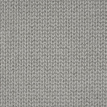 Load image into Gallery viewer, here today