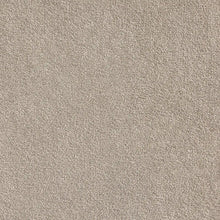 Load image into Gallery viewer, tawny