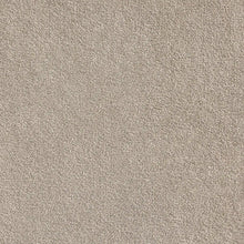 Load image into Gallery viewer, tawny
