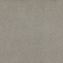 Load image into Gallery viewer, silent