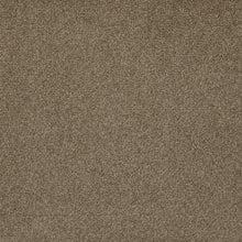 Load image into Gallery viewer, comfy