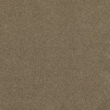 Load image into Gallery viewer, cushy