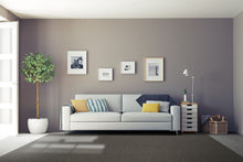 Load image into Gallery viewer, Belgotex Connect - Cut to size carpet