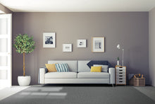 Load image into Gallery viewer, Belgotex Connect - Cut to size carpet
