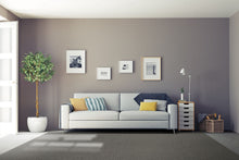 Load image into Gallery viewer, Belgotex Connect - Cut to size carpet