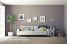 Load image into Gallery viewer, Belgotex Connect - Cut to size carpet