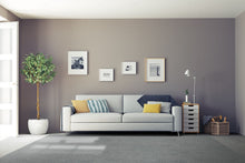 Load image into Gallery viewer, Belgotex Mantra - M301 - Cut to size carpet