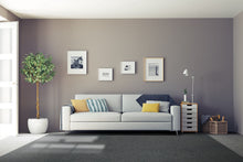 Load image into Gallery viewer, Belgotex Mantra - M101 - Cut to size carpet