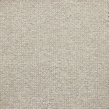 Load image into Gallery viewer, pearly grey
