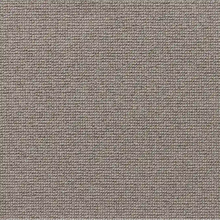 Load image into Gallery viewer, blissfully
