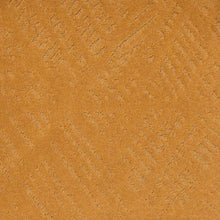 Load image into Gallery viewer, scales-bronze
